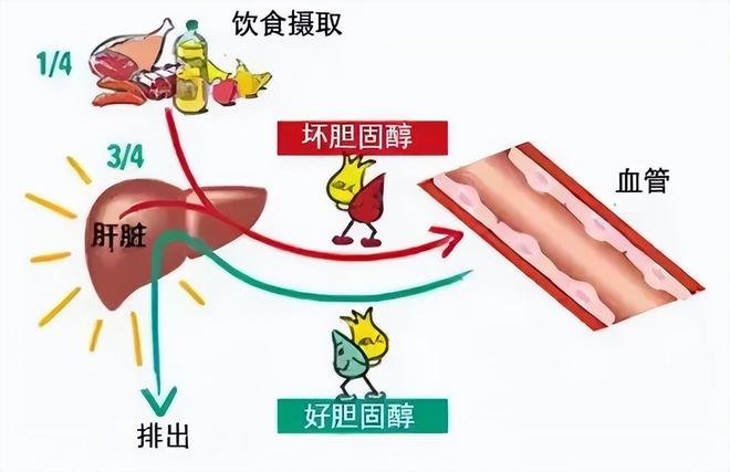 糖月饼真的无糖吗？凯发k8娱乐唯一无(图6)
