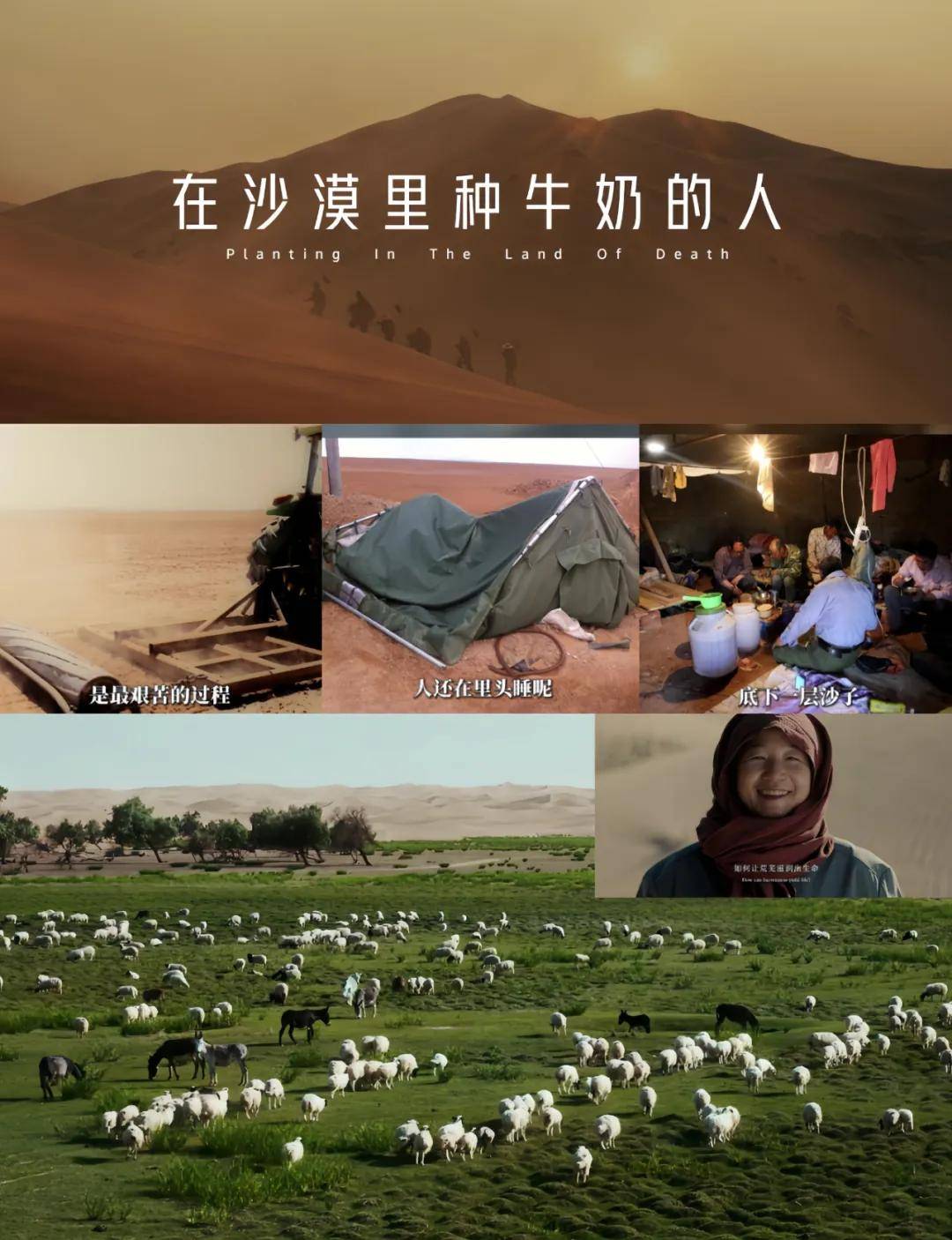 真实至上、关系重构、资产转化、未来主权争夺凯发k8国际登录2025十大品牌启示录：(图10)